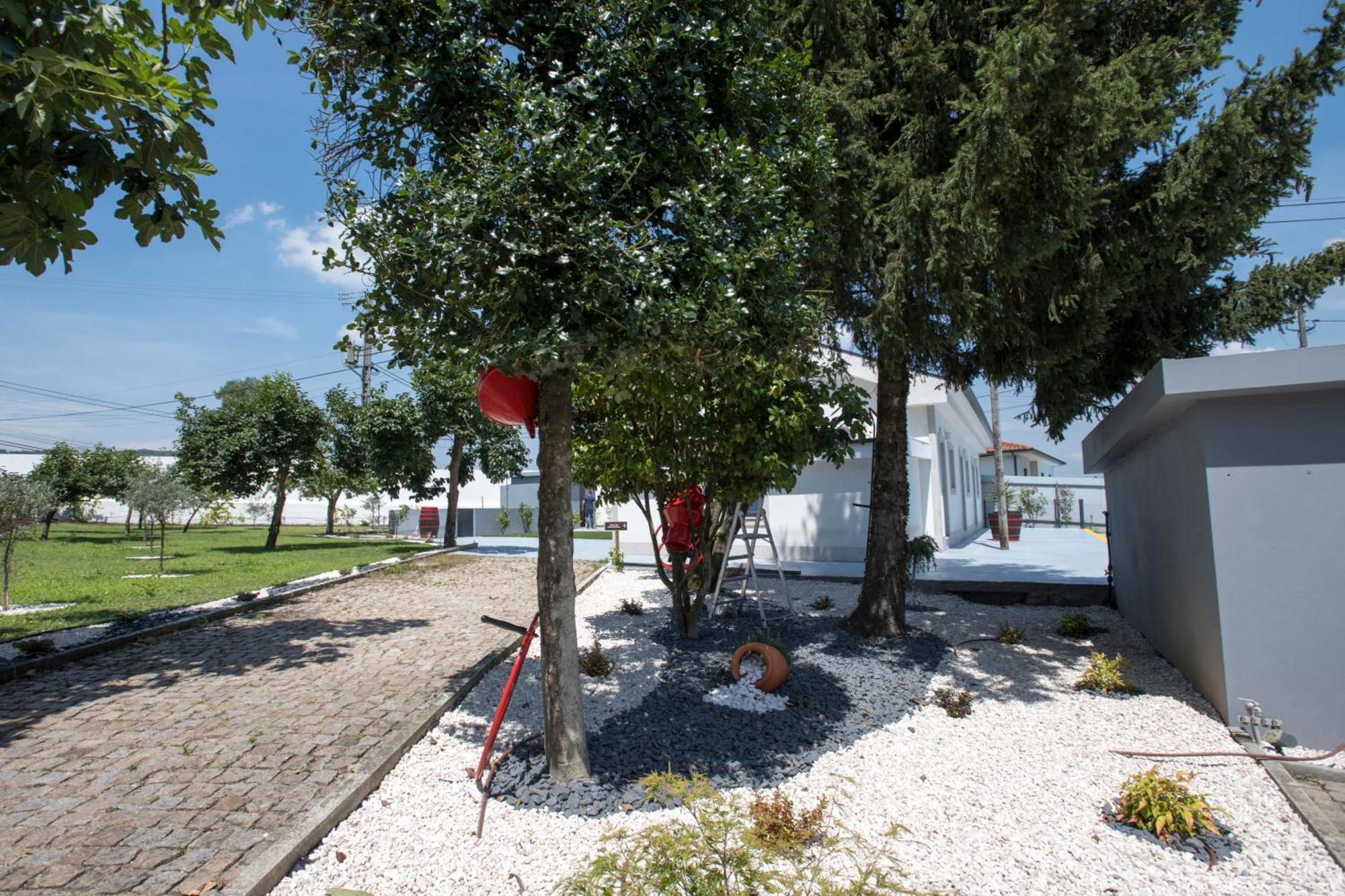 Quinta Do Pomar Pomar Farm Villa Briteiros Exterior photo
