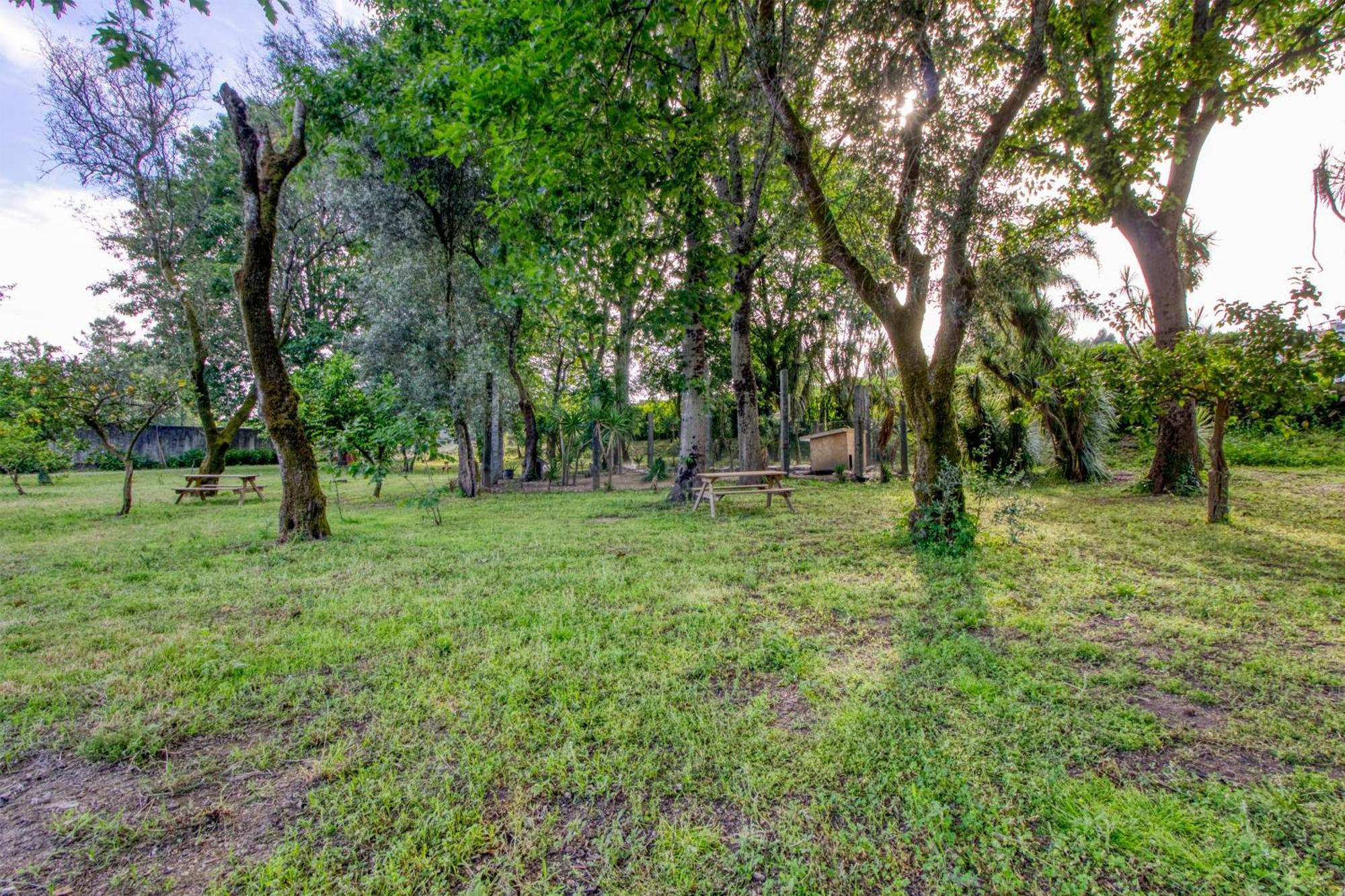 Quinta Do Pomar Pomar Farm Villa Briteiros Exterior photo